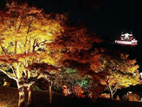 The Autumn Leaves of Genkyu Rakurakuen (Genkyu-en Garden)