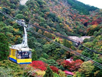 롯코산의 단풍