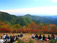 The Autumn Leaves of Mt. Mitake