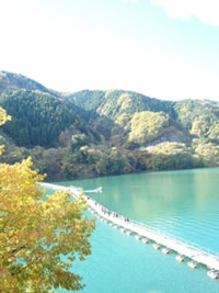 The Autumn Leaves of Lake Okutama