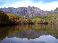 The Autumn Leaves of Togakushi Plateau