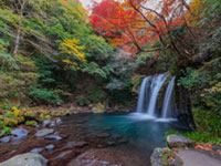 The Autumn Leaves of Kawazu Seven Falls