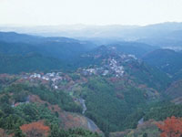 The Autumn Leaves of Mt. Yoshino