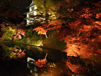 The Autumn Leaves of Hirosaki Park
