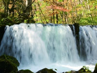 The Autumn Leaves of Oirase Stream
