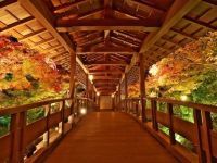 姫路城西御屋敷跡庭園 好古園の写真
