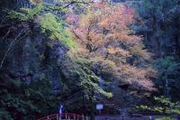 黒山三滝（県立黒山自然公園）の写真