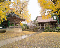 興行寺の写真