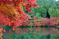 伊奈ヶ湖の写真