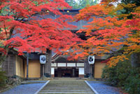 高野山 金剛峯寺の写真