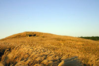 生石高原の写真