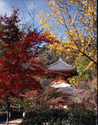 三瀧寺多宝塔の写真