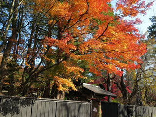角館の写真2