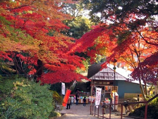 筑波山の写真1