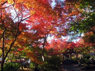 筑波山の写真2