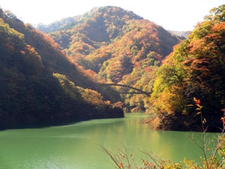 もみじ谷大吊橋の写真2