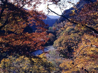 浦山ダムの写真2