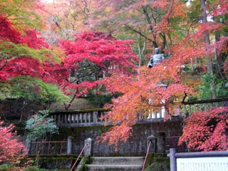 秩父御嶽神社 東郷公園の写真2