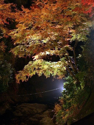 養老渓谷の写真2