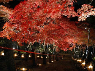 大山寺の写真4