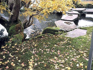 兼六園の写真1