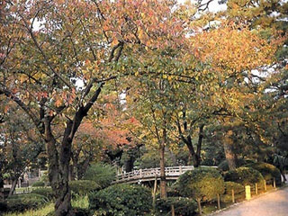 兼六園の写真2