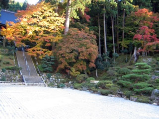萬徳寺の写真1