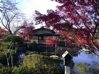 西山公園の写真2