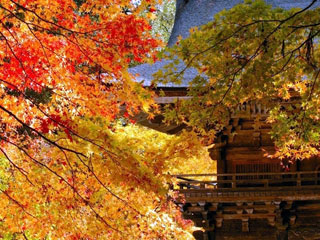 大矢田神社もみじ谷の写真2