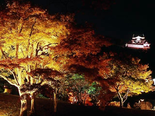名勝 玄宮園の写真1