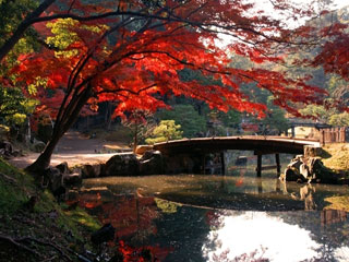 玄宮園の写真4