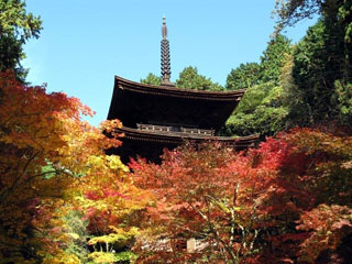 金剛輪寺の写真2