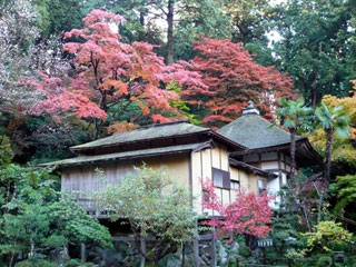 金剛輪寺の写真3