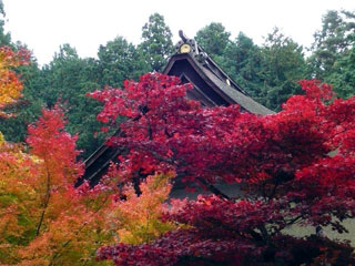 金剛輪寺の写真4