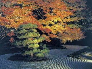 天授庵の写真2