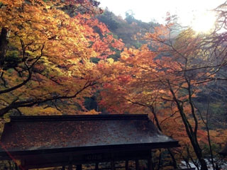 貴船神社の写真3