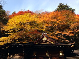 貴船神社の写真4