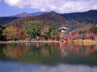旧嵯峨御所大本山大覚寺の写真1