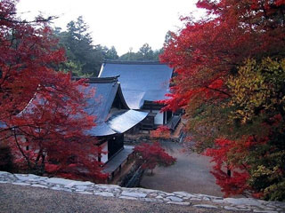 高雄山神護寺の写真1