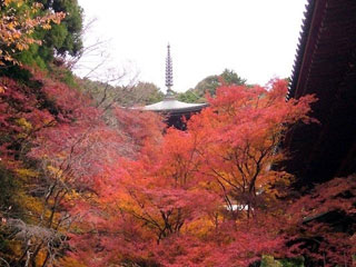 高雄山神護寺の写真3