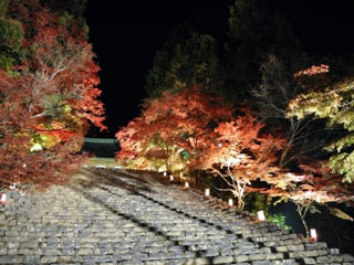 高雄山神護寺の写真4
