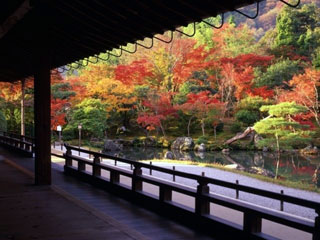 天龍寺の写真2