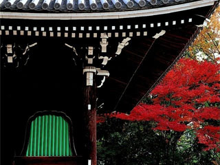 仁和寺の写真4