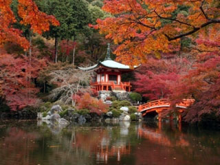 醍醐寺の写真1
