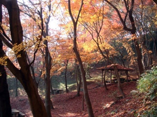 摂津峡公園の写真1