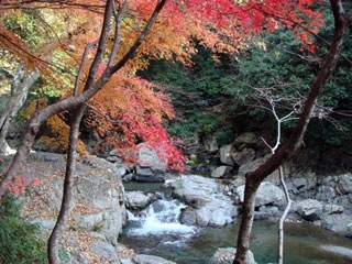 摂津峡公園の写真2