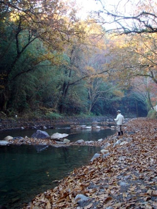 摂津峡公園の写真3