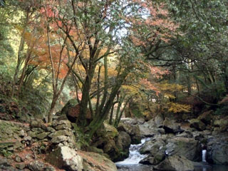 摂津峡公園の写真4