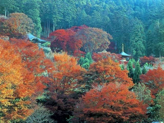 勝尾寺の写真1