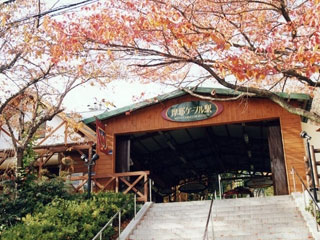 摩耶山の写真4